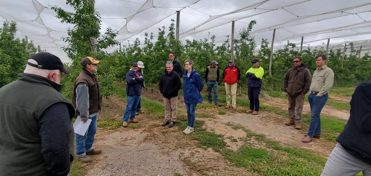 AgFirstNZ tweet media