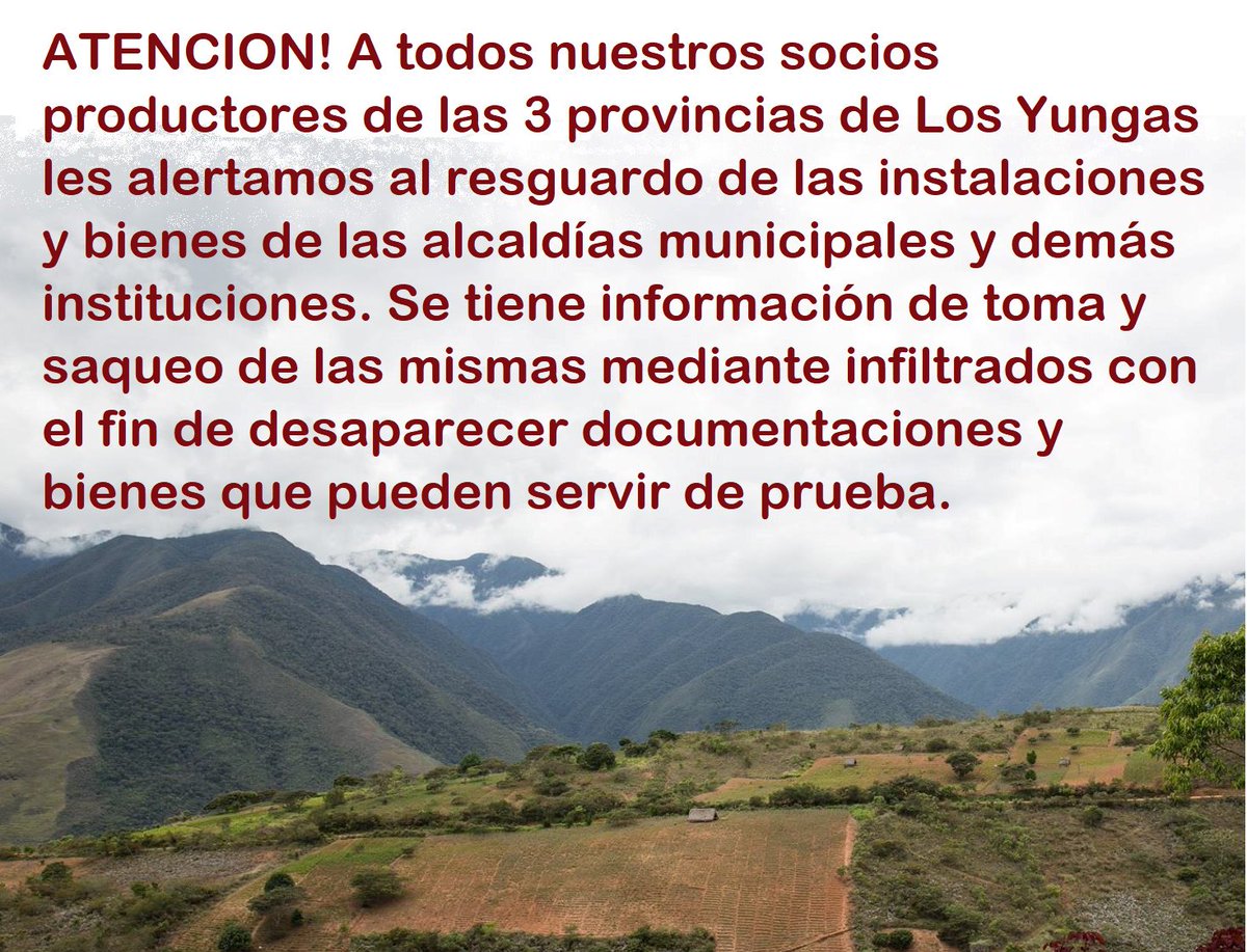 ADEPCOCA (@adepcoca) on Twitter photo 