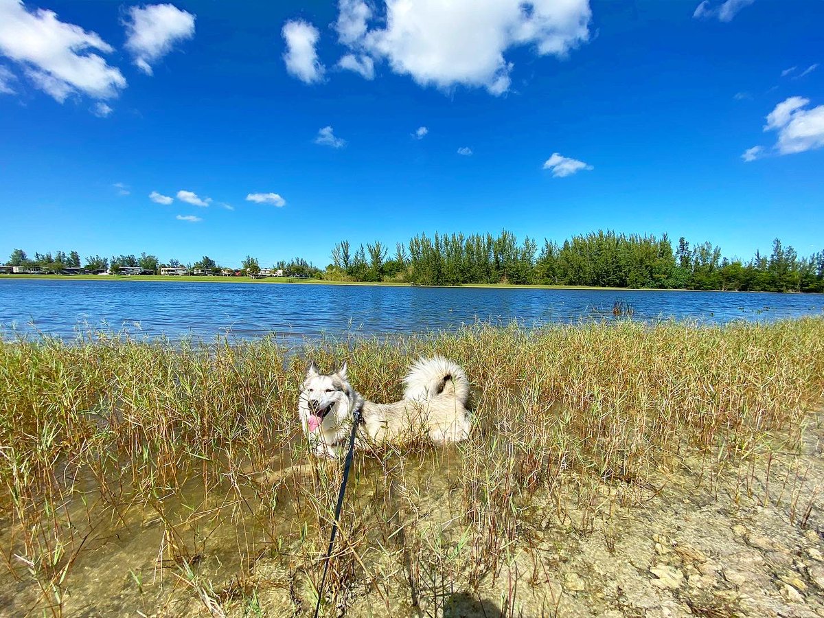 eetch_'s tweet image. best friendss that anyone could have 🖤 #primis