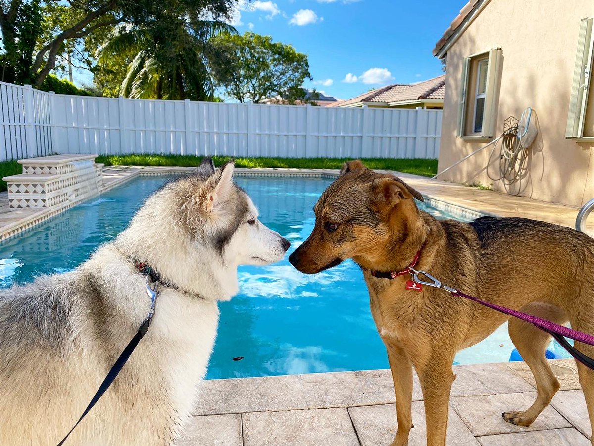 eetch_'s tweet image. best friendss that anyone could have 🖤 #primis