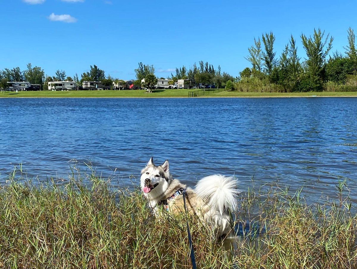 eetch_'s tweet image. best friendss that anyone could have 🖤 #primis