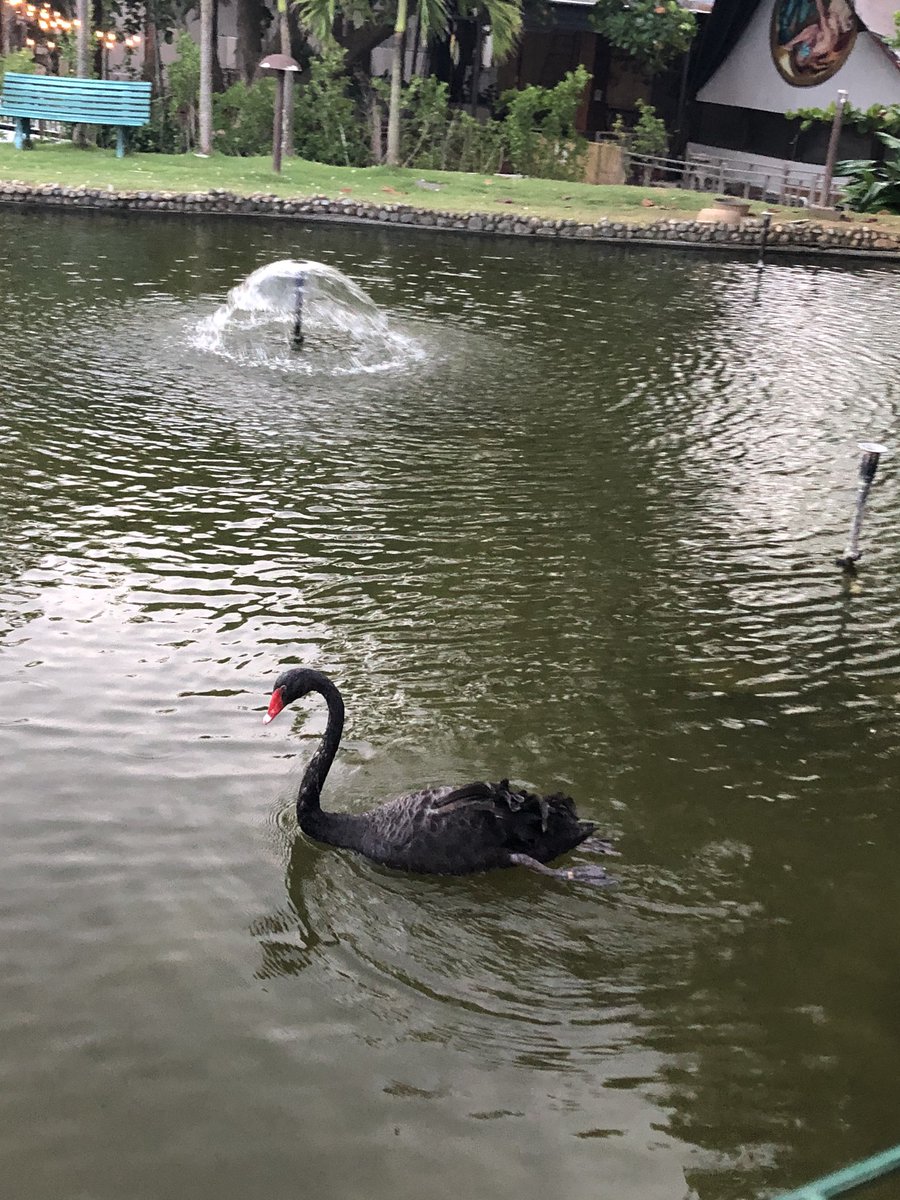 SDCope's tweet image. Caribe Hilton - I found the end of the rainbow if I could just get there.