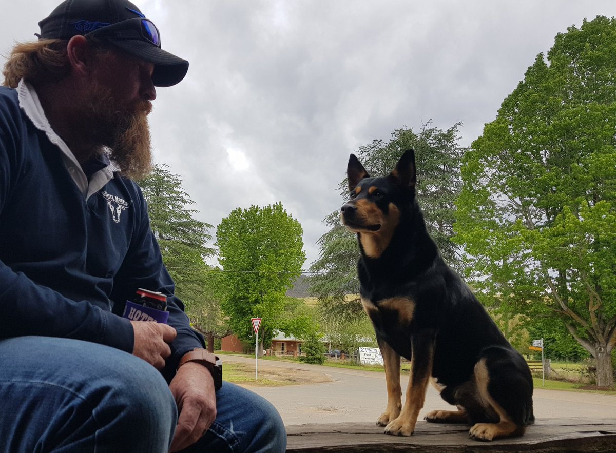 Our Ambassadors, @themasonboys headed to #Dargo on Saturday night.
The community is home to about 150 people..& a resident dog at the pub...
@Havenaar64 
@chrissmithonair 
@macsween_prue 
@ColinJBettles 
@9NewsGippsland 
@WeeklyTimesNews 
@basalttobay 
@SkyNewsAust 
#letsdoit