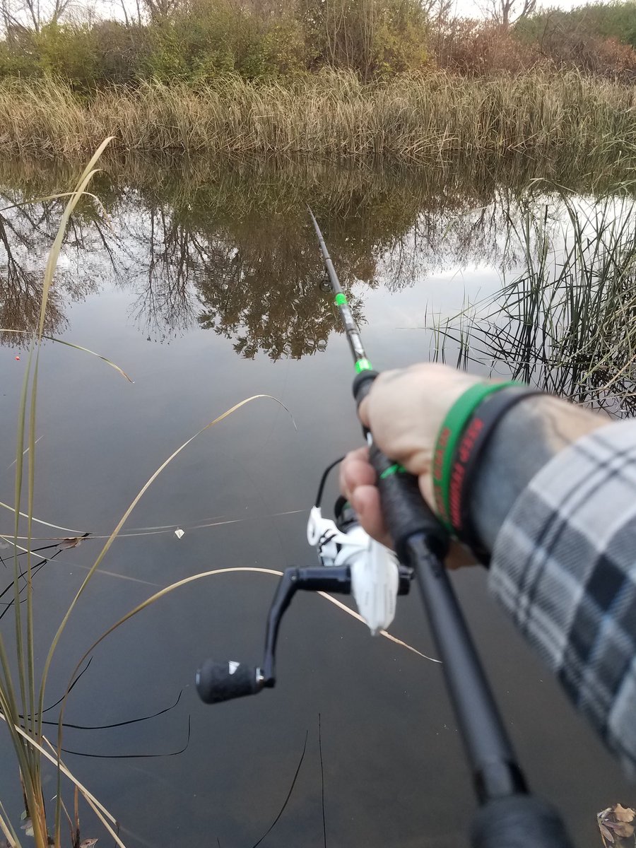 bruisedfriut's tweet photo. Had about 15 minutes after work, a few bites at a hidden spot. @kastkingusa resolute rod and crixus spinning reel.
#everyday #Kastkingusa #DYTangler #KFNS #fishdayton #fishohio #fishinggear #ohiofishing #pondfishing #fishinglife https://t.co/neW471Ccbs