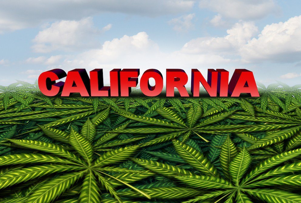 калифорнийская марихуана