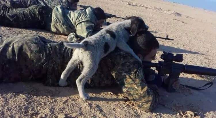 MassoudAkko's tweet image. Protecting and friendship #SDF #KurdsBetrayedByTrump #RojavaResistance