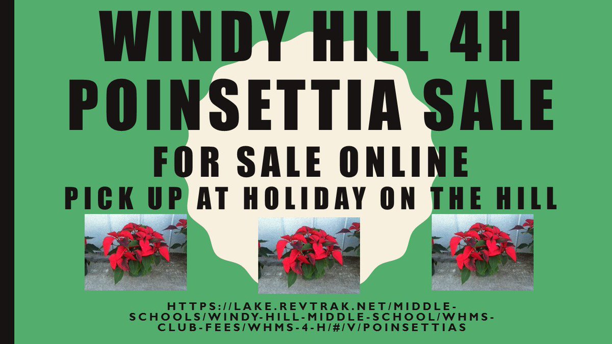 7thsciencepack's tweet photo. Windy Hill 4H is selling poinsettias for $3-$25, depending on the color and size. You can purchase via RevTrak (see the link on the attachment), then pick up at Holiday on the Hill on December 5th. 
#onepack https://t.co/ujuIW4KXPz