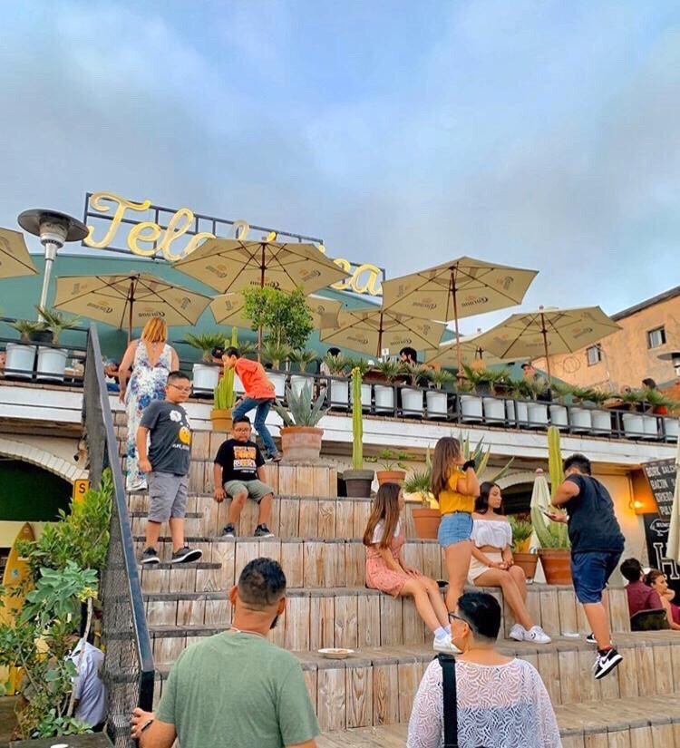 Telefónica & Chill😌🍃✨#foodhasnowalls #beerhasnowalls #latelefonica #telefonicagastropark #tjbeer #cervezaartesanal #craftbeer #beergarden #tijuanastrong #streetfoodshow #tijuana #teiquirisi #tj #mexico #telefonica #gastropark #foodies #foodlovers #foodtime #beertime