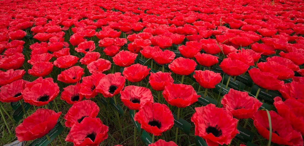 Today we commemorate Remembrance Day. It is a day for us to remember the many Australian servicemen and women who lost their lives serving our country. #RemembranceDay #LestWeForget