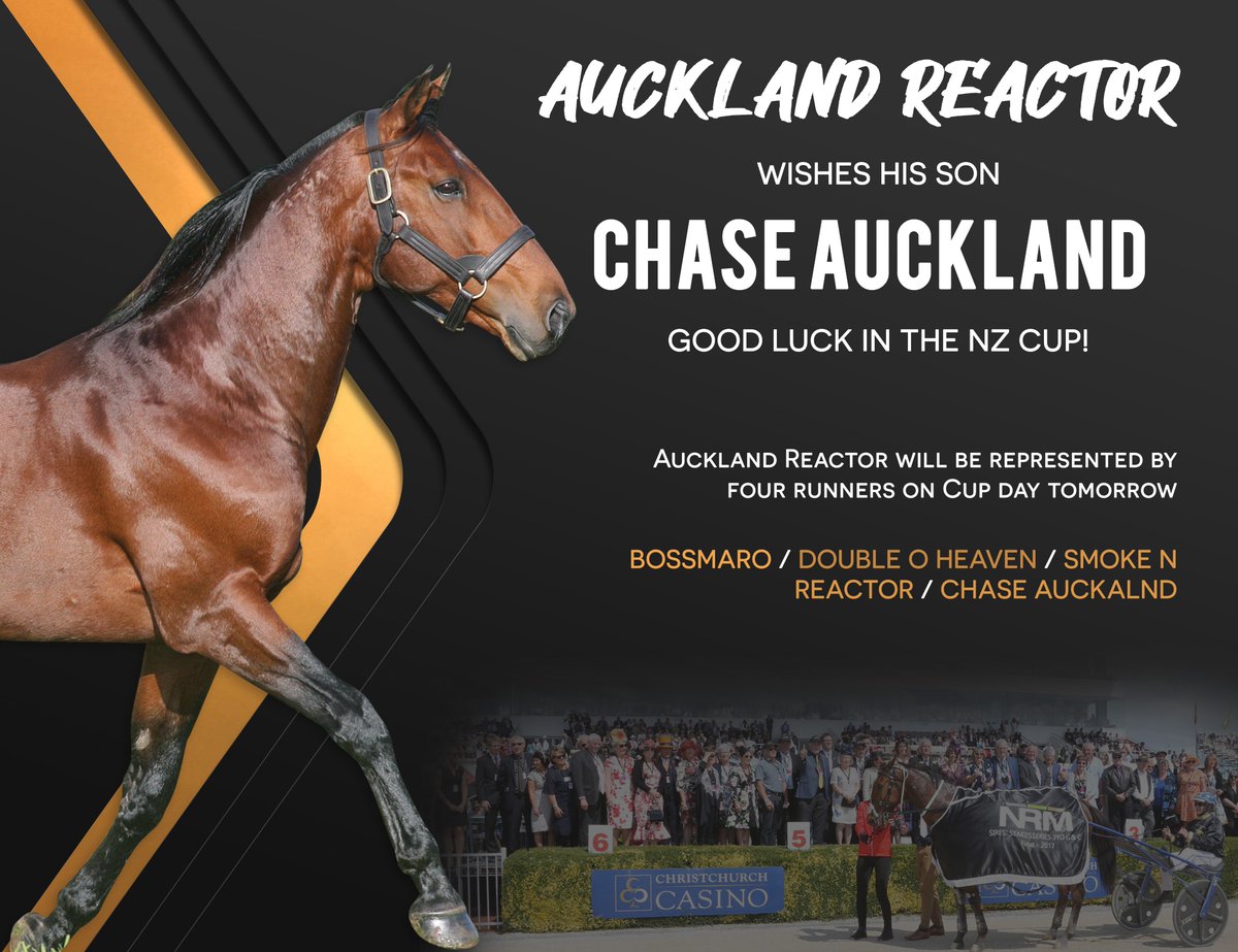 Alabarfarms's tweet photo. Chasing the NZ Cup / Can Chase Auckland win the NZ Cup tomorrow?
#AucklandReactor https://t.co/ws7GkjI5Id