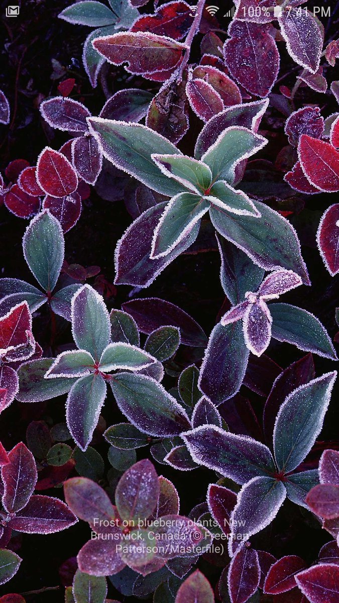 StorkOnTheCork's tweet image. #MicrosoftLauncher background of the day