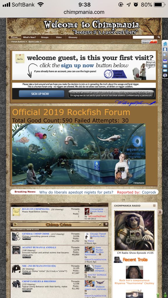 Opia345's tweet photo. Please help to take down this racist site: @k33yuh @PaigeChristieUK @NICKIMINAJ @itsNICKSNIDER @ThreeDailey @JeffreeStar @shanedawson @MakeupMom2 @lizzo #chimpmania #Blacktwitter https://t.co/1o8tgyATmd