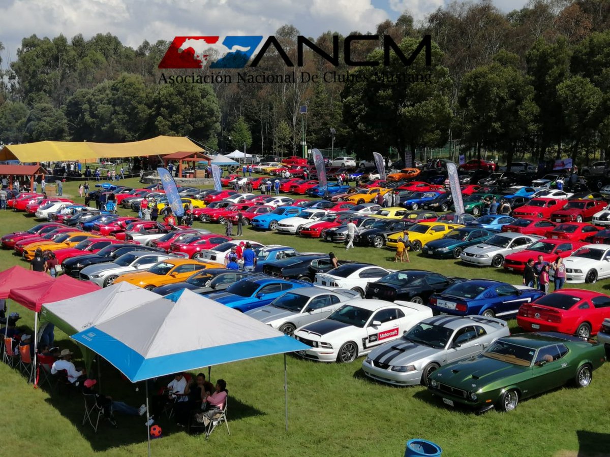 FNCM_Mx's tweet photo. Toda la Asociación Nacional de Clubes Mustang celebrando el 5.º aniversario del @MustangMetepec 
@FordMX 
@HMeridiano 
#ANCM #fordmustang #YoSoyKor2019 #MeridianoSobreRuedas https://t.co/a6MJNRnaP7