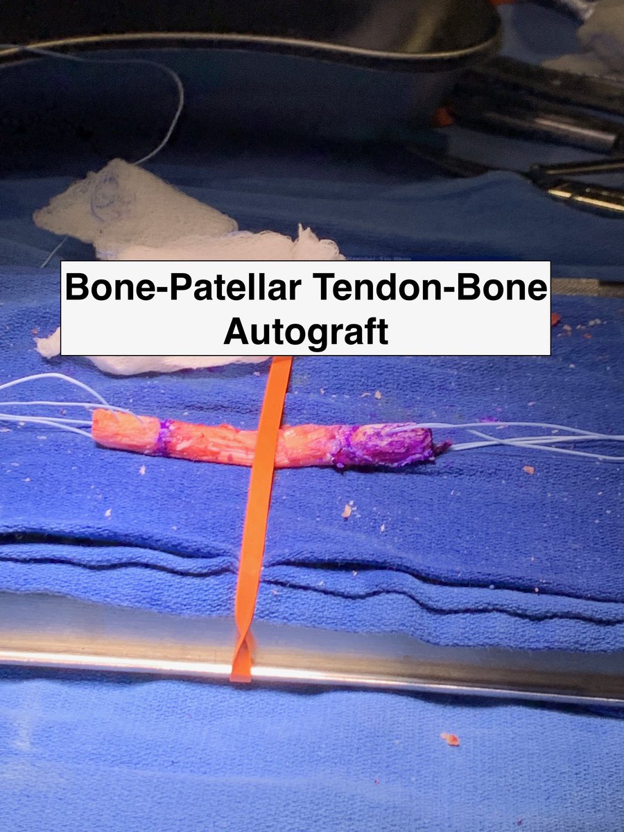 Dr. Justin Mitchell tweet media