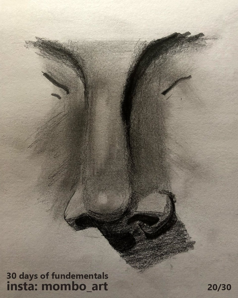 Day 20Followed another proko vid, this time on a nose.The value changes on the side of the nose proved especially challenging on this piece. Its ok but I wasn't satisfied with it.