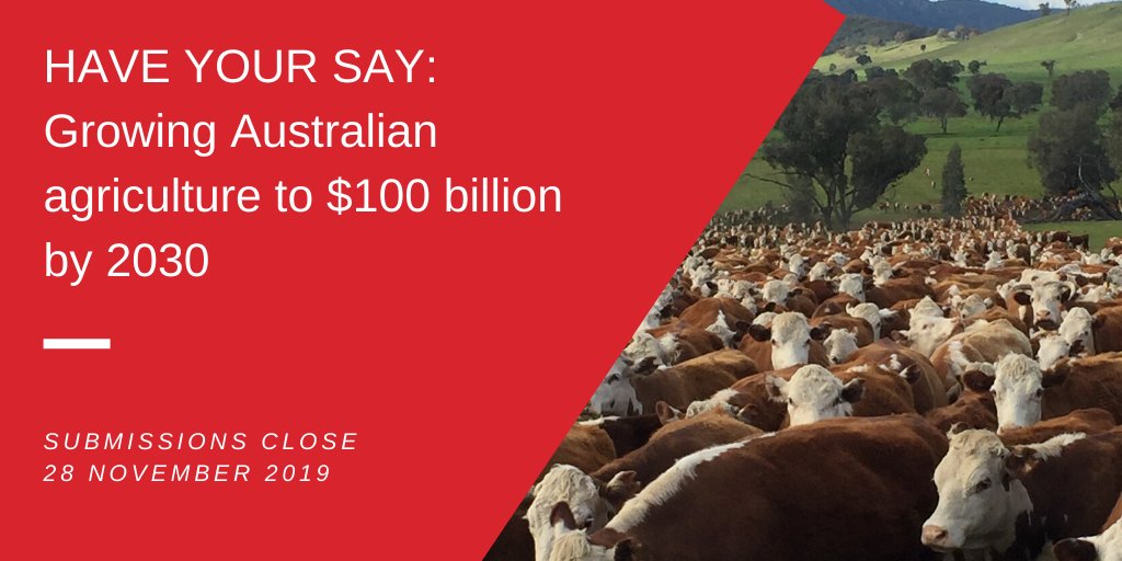 redmeatcouncil's tweet photo. The House Standing Committee on Agriculture and Water Resources has launched an inquiry into growing Australian agriculture to $100 billion by 2030. They're inviting submissions for the inquiry by 28 November https://t.co/SO7YD9XTpe #RedMeatMatters #AustralianRedMeat #agchatoz https://t.co/mJ19uGBXWg