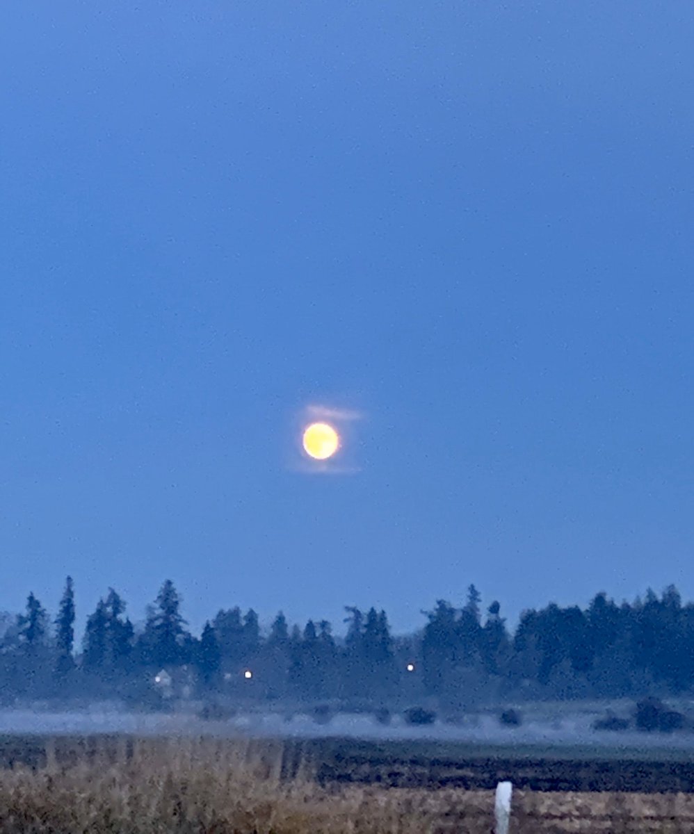 sunilvancouver's tweet photo. Beautiful moon over Langley tonight @LangleyCity_ @NEWS1130Weather @NEWS1130 @Kusswx #moon #ynj https://t.co/mvDEMImsk7