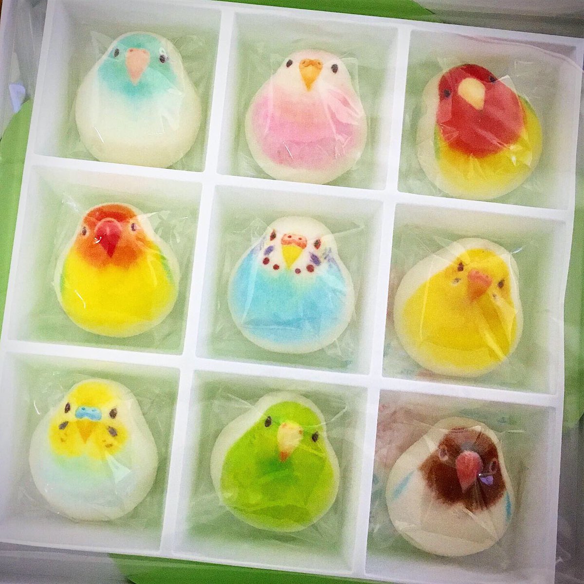 インコ好きには堪らない インコのほうずい が可愛すぎる 話題の画像プラス