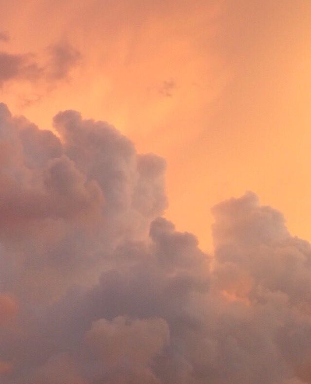 ขิงคุณเมฆ✨☁️ tweet media