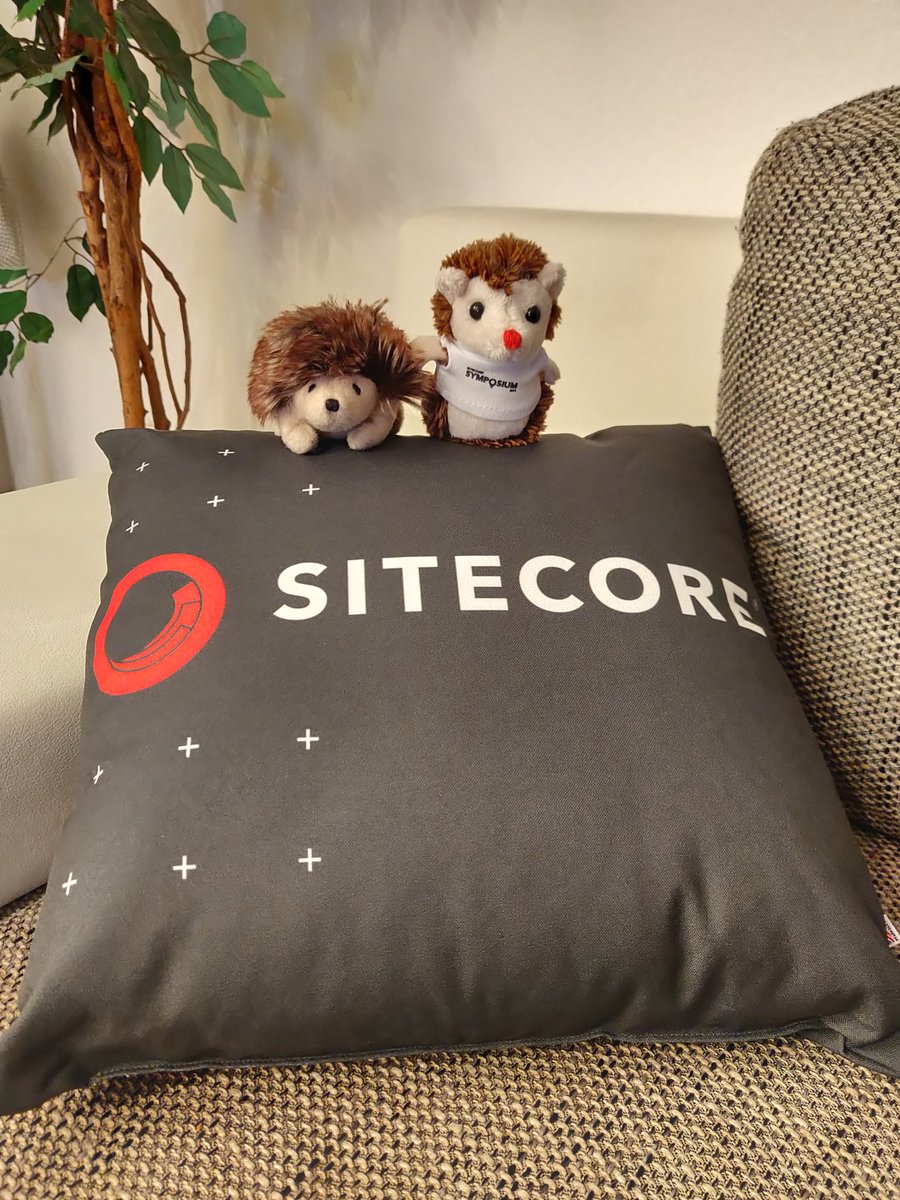 NatashaBatra1's tweet photo. Hedgies are home safe and relaxing on Sitecore pillow. Really nice tradition started by @sitecorepillow and @JaxBaxter. #SitecoreSYM .. Thanks for lovely road trip and German lessons @lovesitecore @Jana_Wichmann @jharder ๐๐.. Meanwhile my eyes are wide open.. #JetLaggedAF ๐ญ๐ https://t.co/WYdYtbPKKY