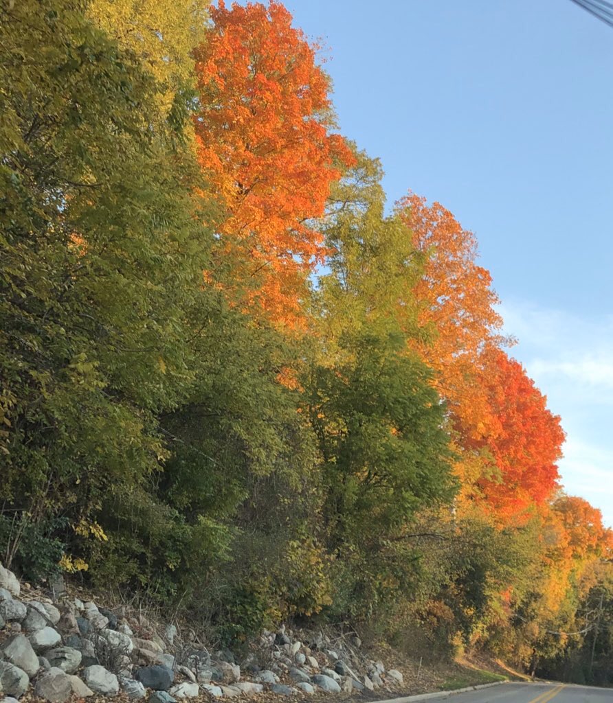 popspeach's tweet image. What a difference 2 weeks can make! Oct 24th on the left, Nov 7 on the right. 
Tomorrow we’re forecast to get 4-5 inches of ❄️❄️❄️. 😳
#ImNotReady #BringBackFall