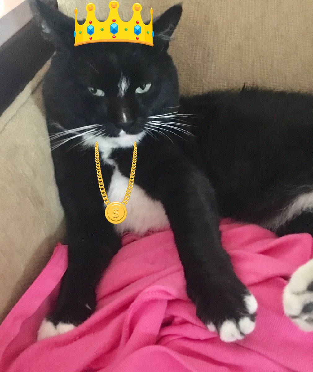 IChiquisRivera1's tweet photo. #tuxiegang #kingziggy check out my #blingbling https://t.co/YifkpO19Qn