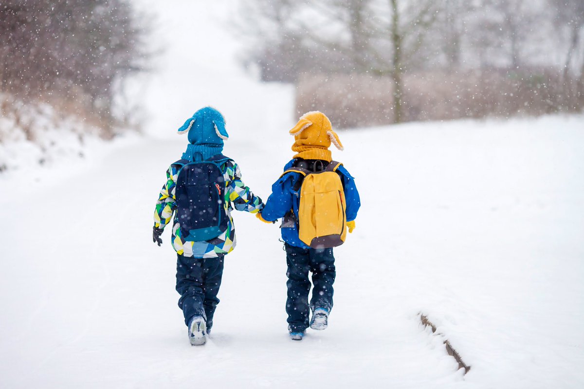 HaltonDSB's tweet photo. With snowy weather in the forecast, we encourage all families to review the #HDSB Inclement Weather Reminders on our website: https://t.co/zr0pMyBEyq https://t.co/rlvRzKYQ6r
