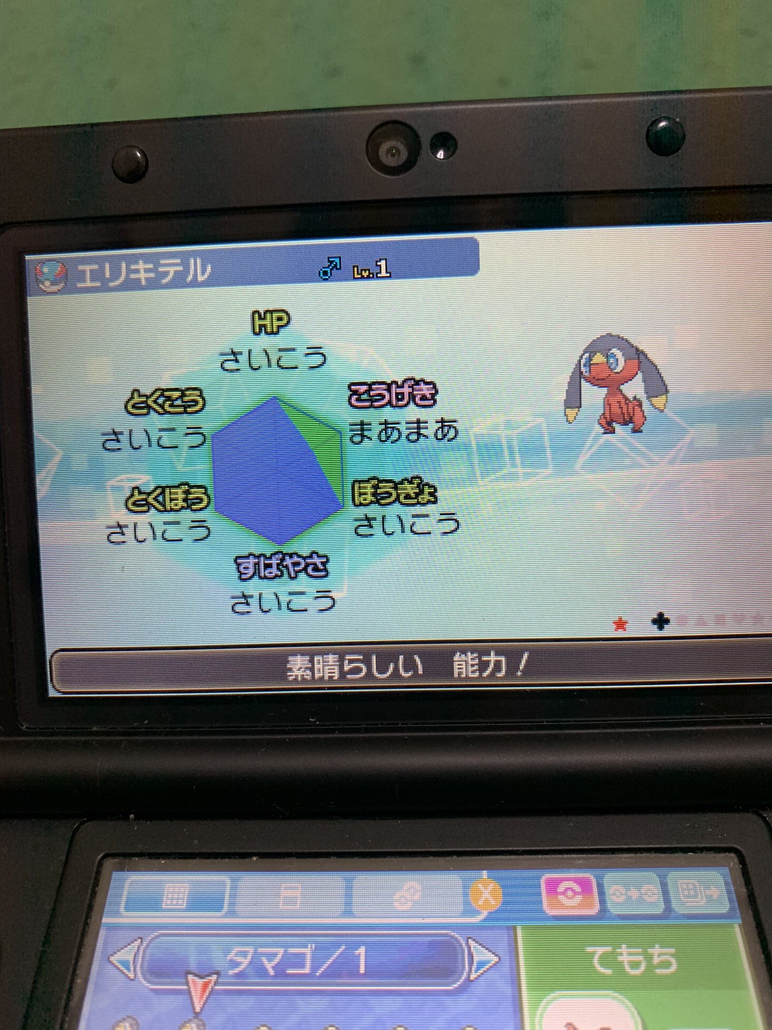 ポケモン国際孵化 Twitter Search Twitter