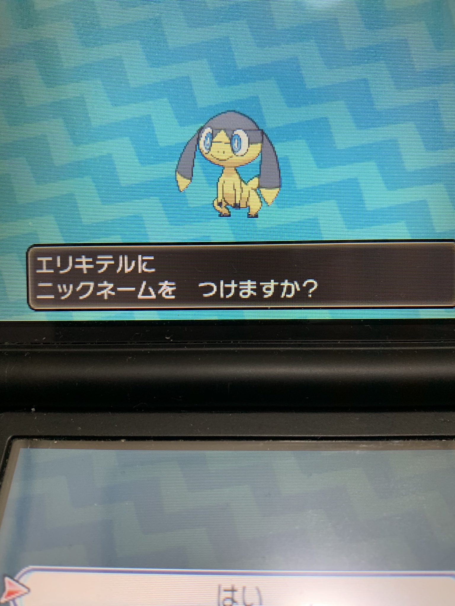 ポケモン国際孵化 Twitter Search Twitter