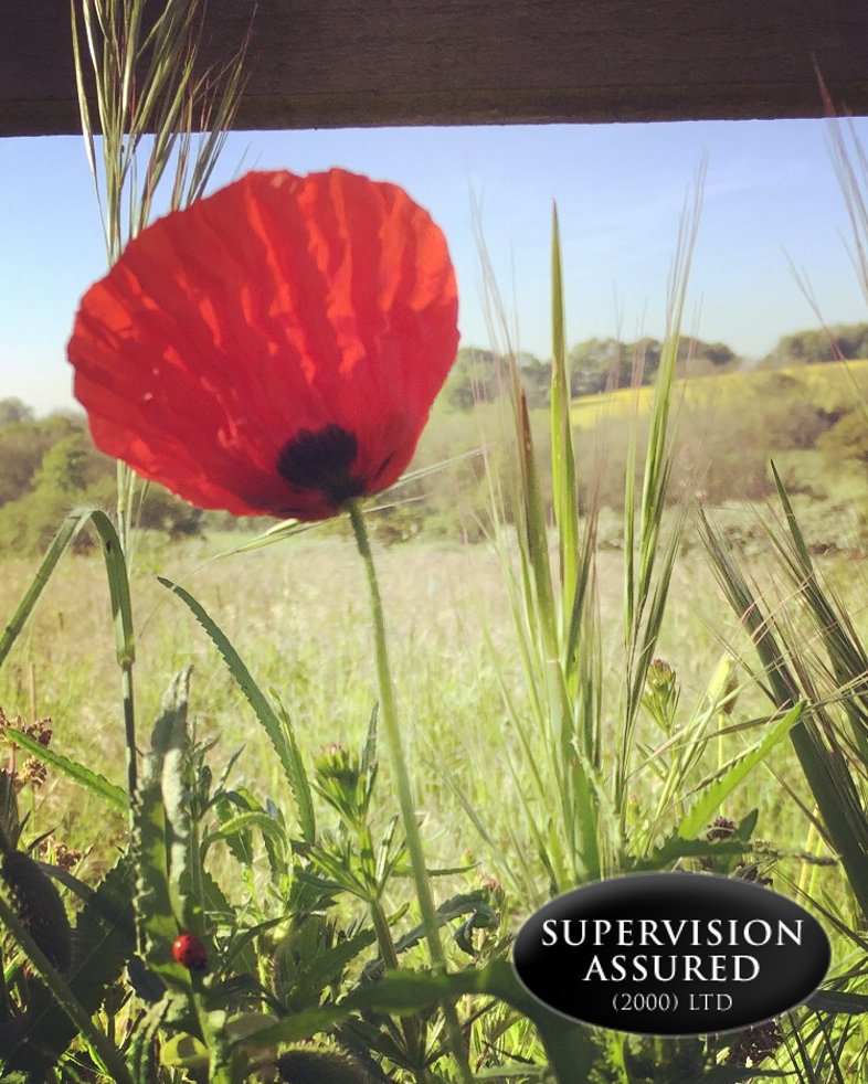 sa2000ltd's tweet image. Lets we forget. For those brave who gave their lives so we could live ours. #LestWeForget #ArmisticeDay #RemebranceDay