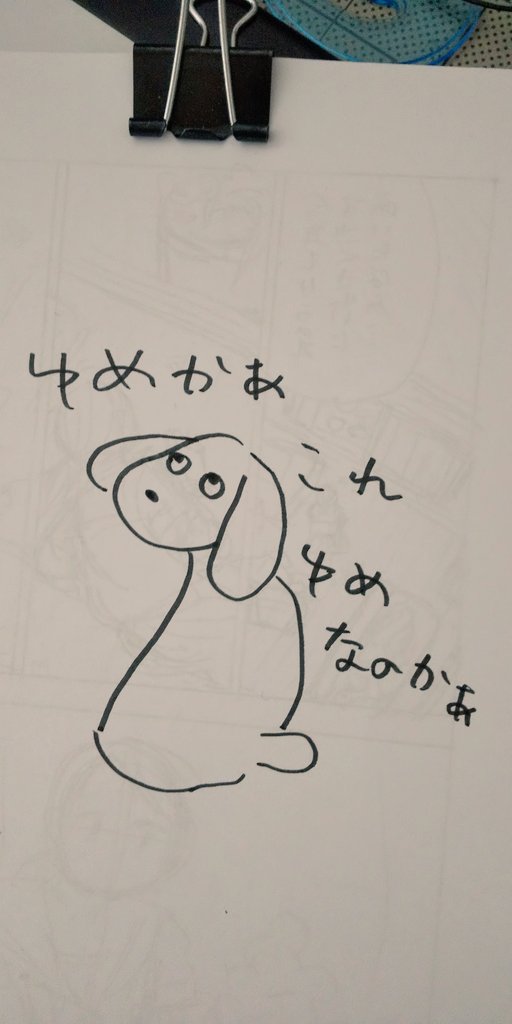 今日の犬です 