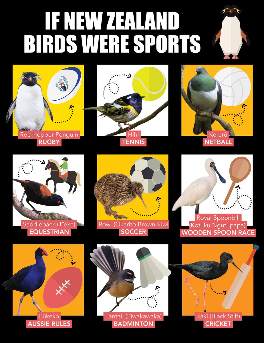 thisNZlife tweet media