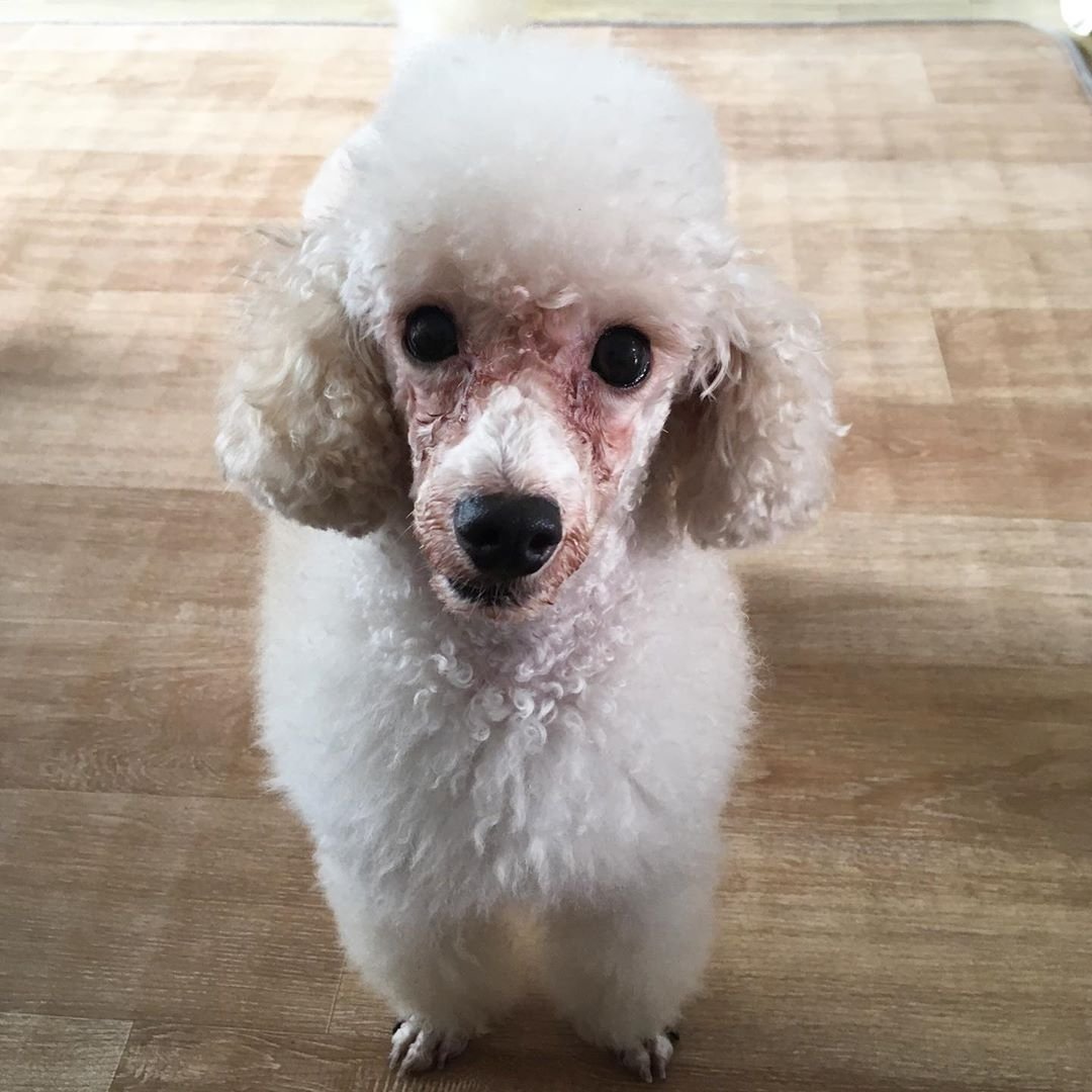 Jooearlymorning's tweet photo. 진짜 눈물 많이 없어졌구나 https://t.co/BAdPA9haTd
