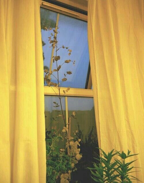Tipos de estilos 🌼