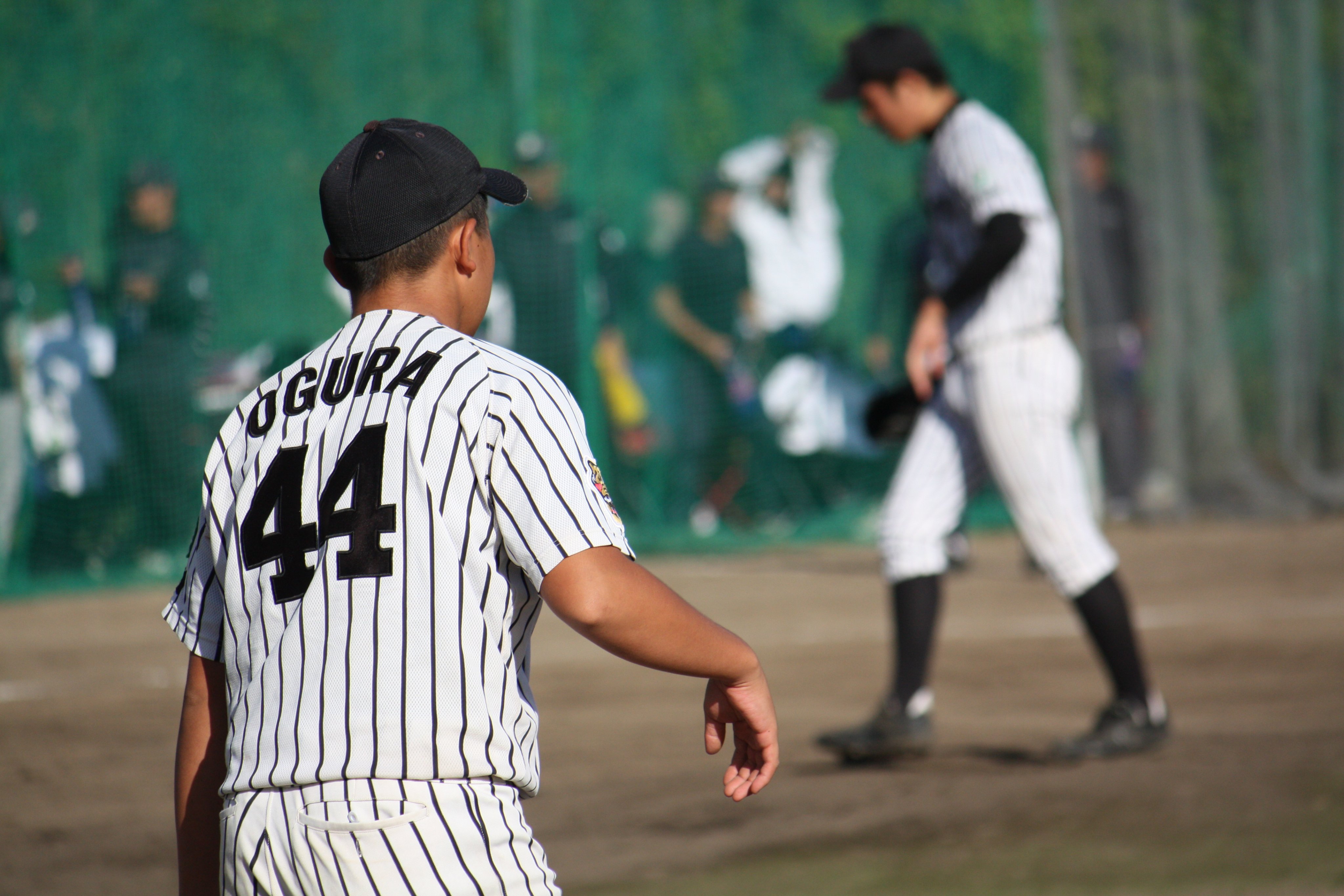兵庫タイガースヤング Hyogotigers Twitter