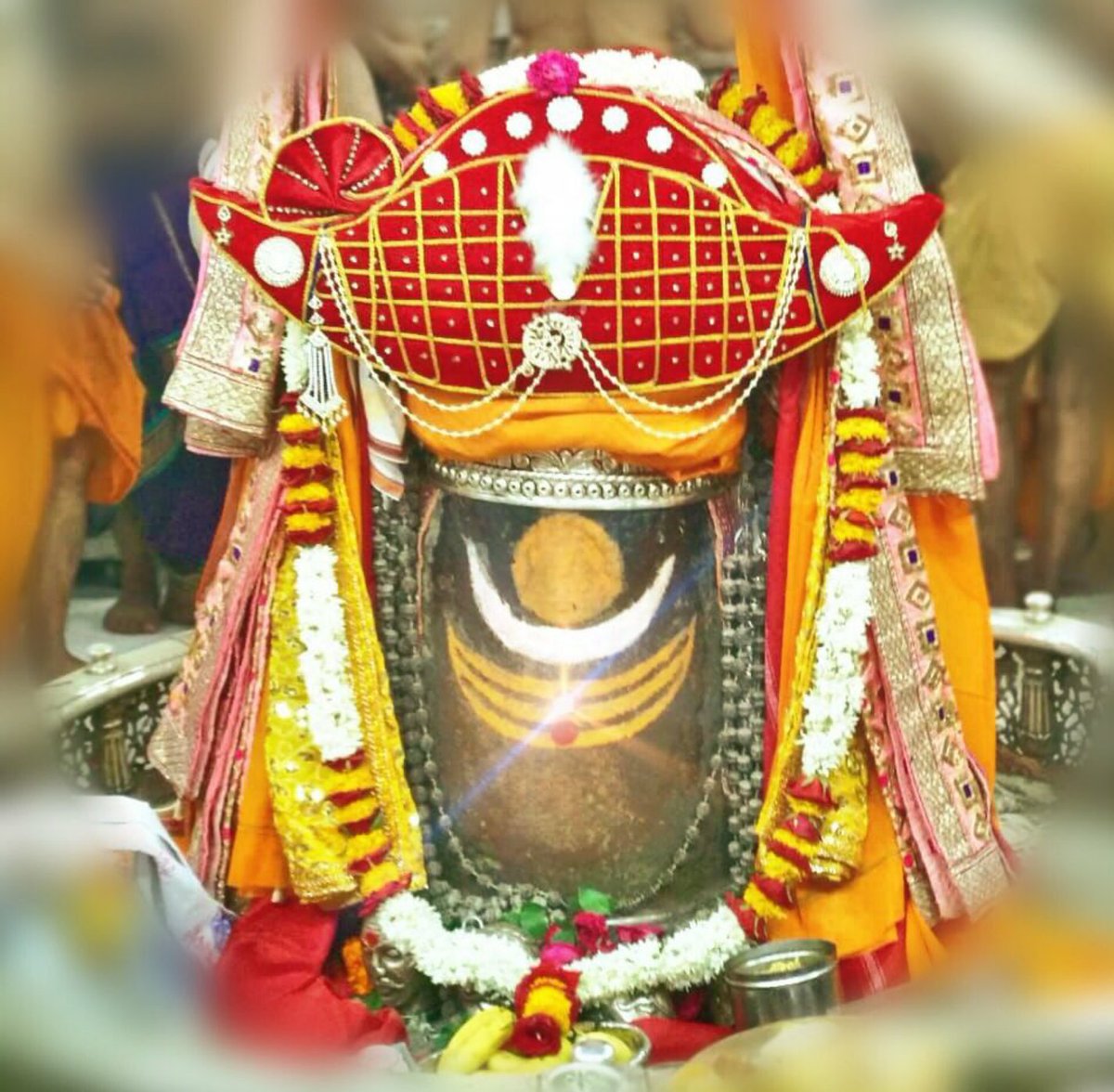 🌸शिवलिंग पर केसर अर्पित करें।सौम्यता मिलती है!

🌸भोलेनाथ का शक्कर से अभिषेक करें।इससे सुख,समृद्धि में वृद्धि होती है।जीवन से दरिद्रता भी चली जाती है!

🌸शिवलिंग पर इत्र लगाने से विचार पवित्र,शुद्ध होते हैं।जीवन में गलत कामों के रास्ते पर जाने से बचते हैं!