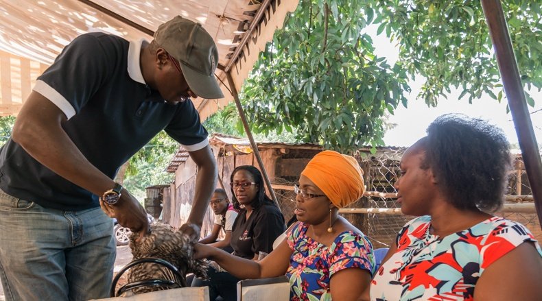 Don't stop at Google or blogs when you're looking for info on Agriculture. Visit several farms, talk to those who've gone ahead of you - ask hard questions. Oh, and please, intern for a day at a farm, perhaps you're allergic to soil... 😁
#UkulimaSioUshamba