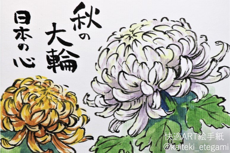 快適art絵手紙 大輪の菊を描きました 日本の国花ですね いつか展示会に行って見たい Youtube動画 T Co Ret3edohe1 絵手紙イラストチャンネルページ T Co Bz4ahpuzsr 絵手紙 イラスト 快適絵手紙 Youtube T Co