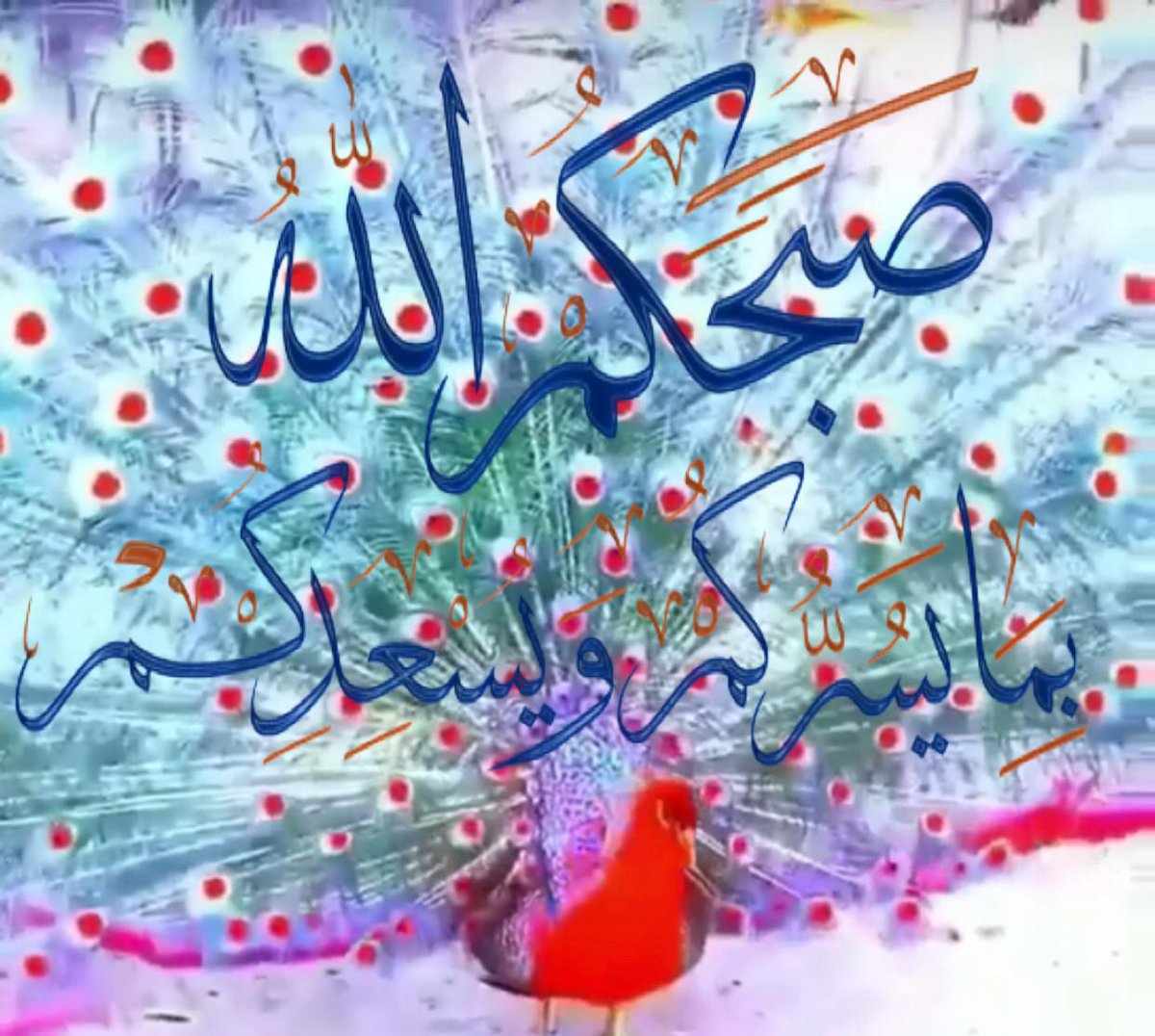 By__lsan's tweet photo. من أعظم نعم الله :ان تصبح وتمسي وانت معافى فهي نعمة لا يدركها الا من يفتقدها 
الحمد لله عدد خلقه ورضى نفسه
 وزنة عرشه ومداد كلماته 
#قروب_طيف_للدعم 
#قروب_العفراء_الدعم https://t.co/ZBNMH1MwEZ
