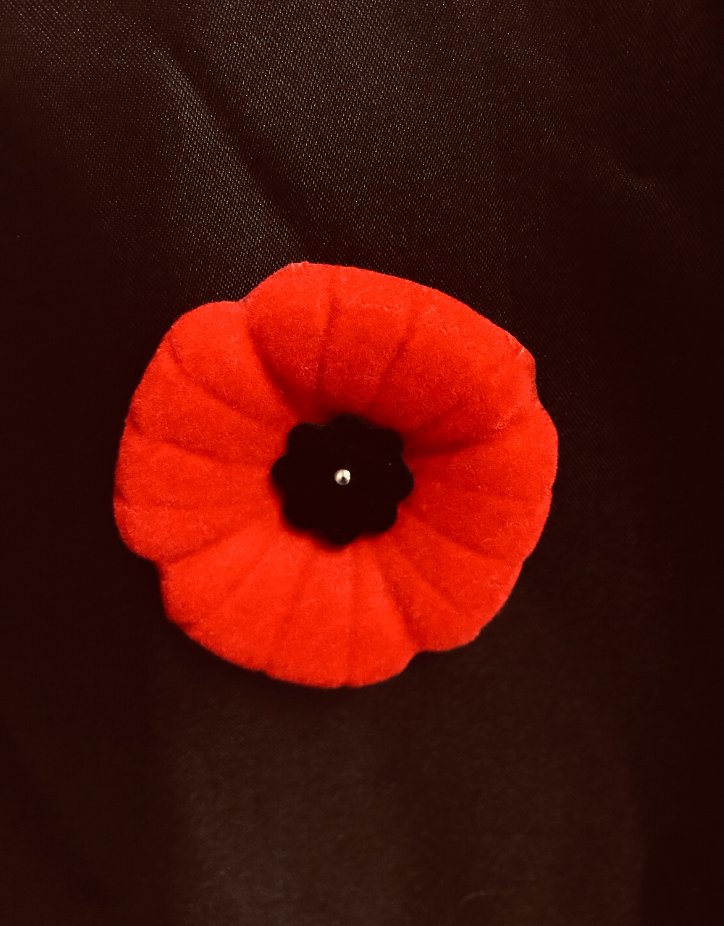 PeelPolice's tweet image. Remember Why
Remember Who
Remember When
Remember What
Remember How
Just Remember November 11.