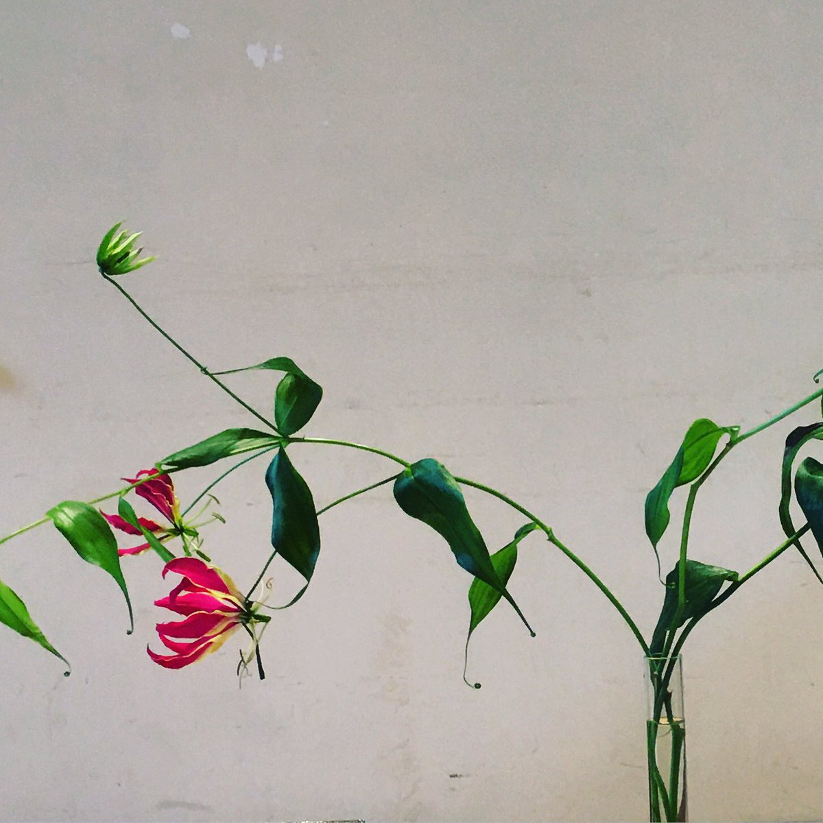 Soudeh Rad tweet media