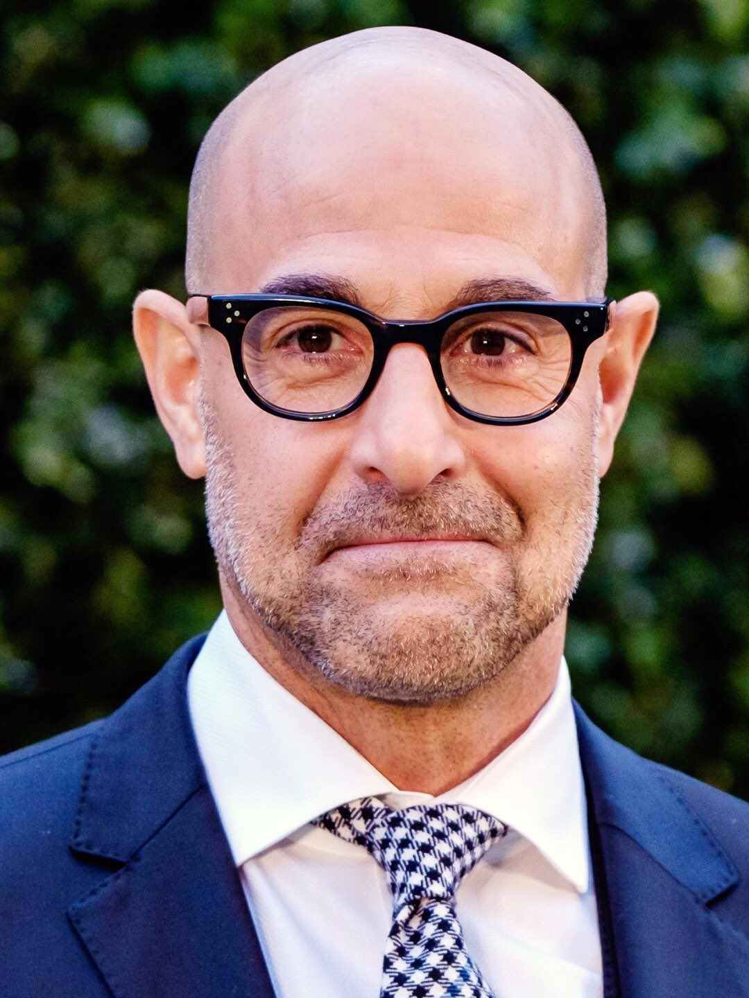 Happy Birthday Stanley Tucci   