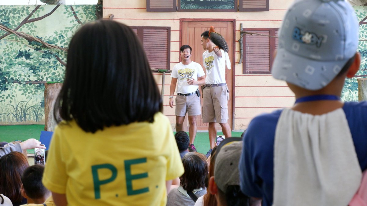myoceanadv's tweet photo. From squeaky mice to a ‘sssensssational’ snake, from a buttered popcorn scented binturong to a magnificent flying fox, and more, our Wild World show will surely take you to a wild adventure. Have an out-of-school learning experience here at #MyOceanAdventure! 🦇 https://t.co/3xck9CpN9N