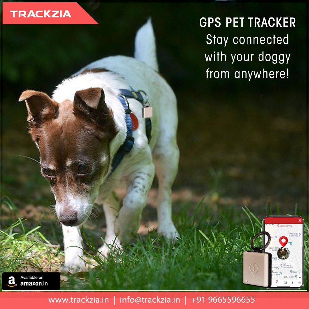 Trackzia1's tweet photo. Monitor your #pets location and movements at all time with the #Trackzia GPS #PetsTracker. This gadget will help you keep better #track of your furry friends and worry less about their whereabouts. Shop Now: https://t.co/9bJFwhPjf9
#PetTracker #DogTrackingDevice #PetTrackerIndia https://t.co/NGK9UHWfQX