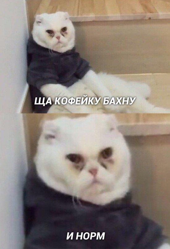 EJEgQisXYAIrWcI?format=jpg&name=900x900