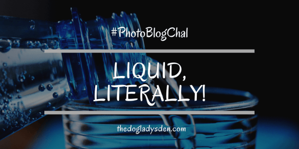 gaelynnwoods's tweet photo. LIQUID, LITERALLY! #PhotoBlogChal https://t.co/qil2sNWvc7 via @DebbieDoglady https://t.co/IkUYxg48zl