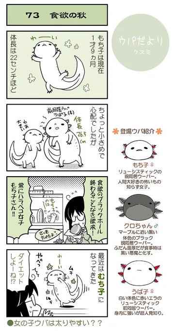 【ウパだより73】だいたい毎週公開のウーパールーパー4コマ。もち子、改名の危機!?
(https://t.co/5eoVFWNE2C) #ウパだより #うぱ子だより #ウーパールーパー 