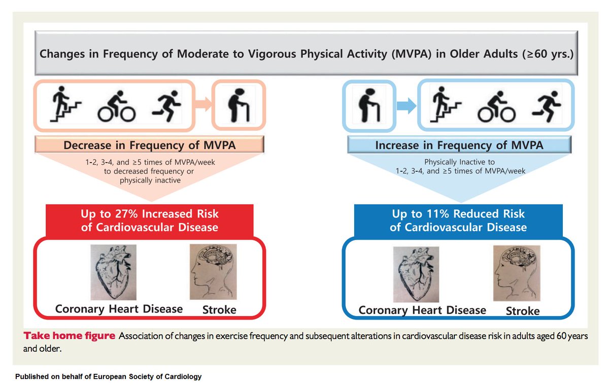 European Society of Cardiology Journals (@esc_journals) on Twitter photo Never too old to exercise! Among older adults, engaging in higher frequency of moderate-vigorous physical activity or maintaining its level was associated with ⬇️risk of CV disease bit.ly/2NA5f9x
#EHJ <a href="/TomLuscher/">CardioTomLuscher</a> #riskfactors #CVD Never too old to exercise! Among older adults, engaging in higher frequency of moderate-vigorous physical activity or maintaining its level was associated with ⬇️risk of CV disease bit.ly/2NA5f9x
#EHJ <a href="/TomLuscher/">CardioTomLuscher</a> #riskfactors #CVD