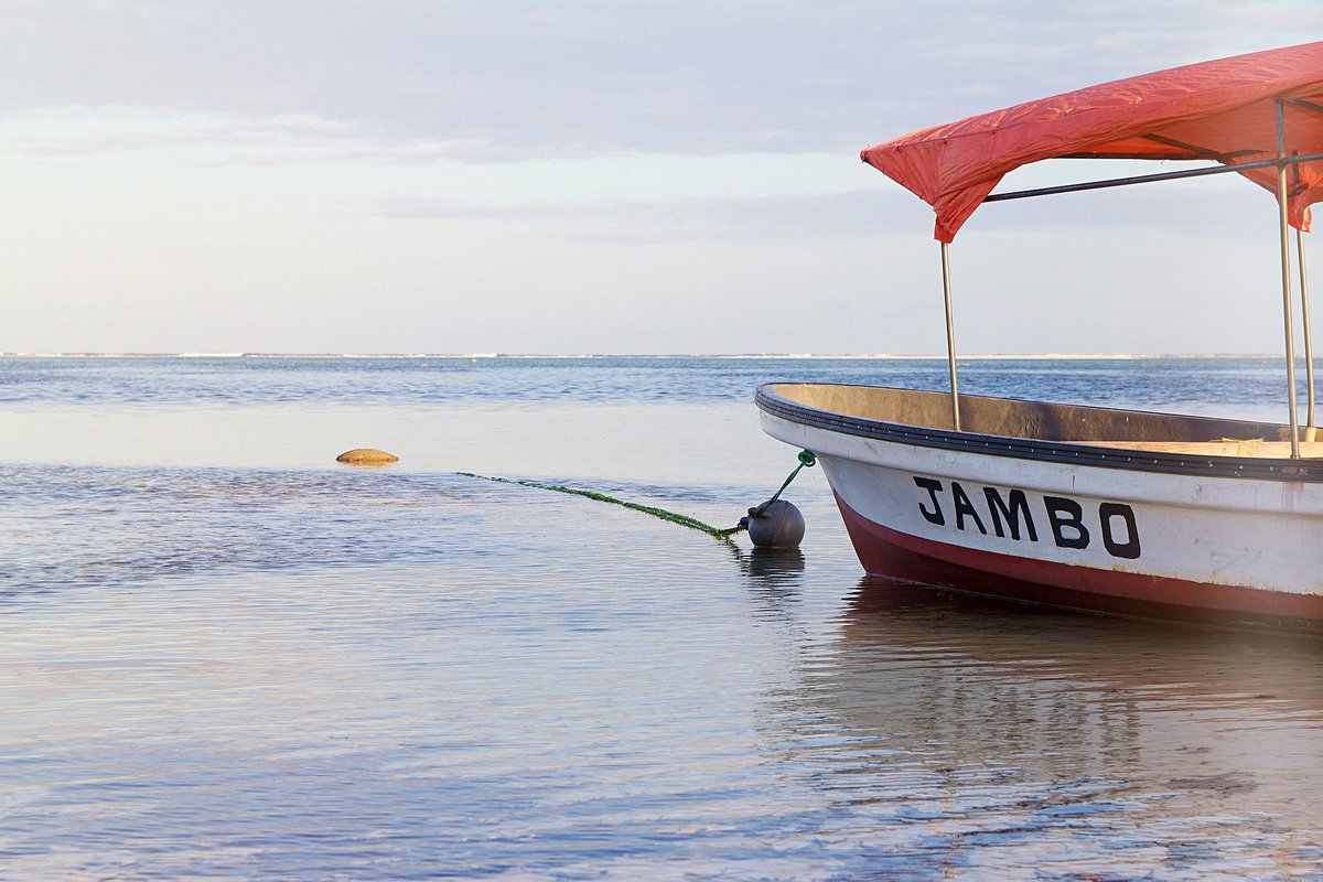 Zanzibar_Guide's tweet photo. Jambo. Lika sant som pole-pole. #zanzibar #zanzibarresor https://t.co/BkUngbIIjx https://t.co/fHThxFmApT