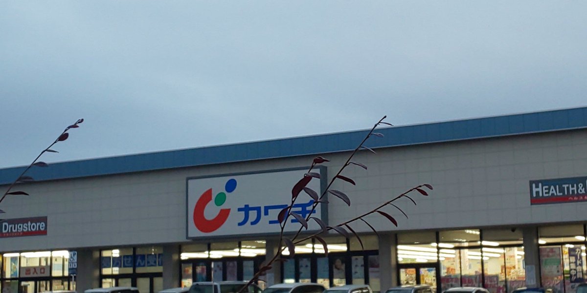 バチカランド ラ バチカラ改め ザ カワチ カワチ薬品 フォレオ宮の杜店 In 仙台市 宮城県 T Co Uaiacixice バチカランド ラ バチカラ改め ザ カワチ カワチ薬品 フォレオ宮の杜店 In 仙台市 宮城県 T Co Uaiacixice